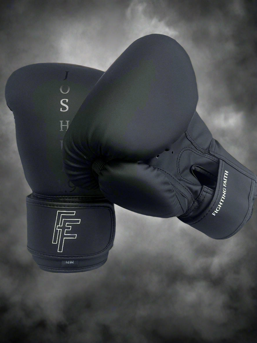 12oz Premium Boxing Gloves Joshua 1:9