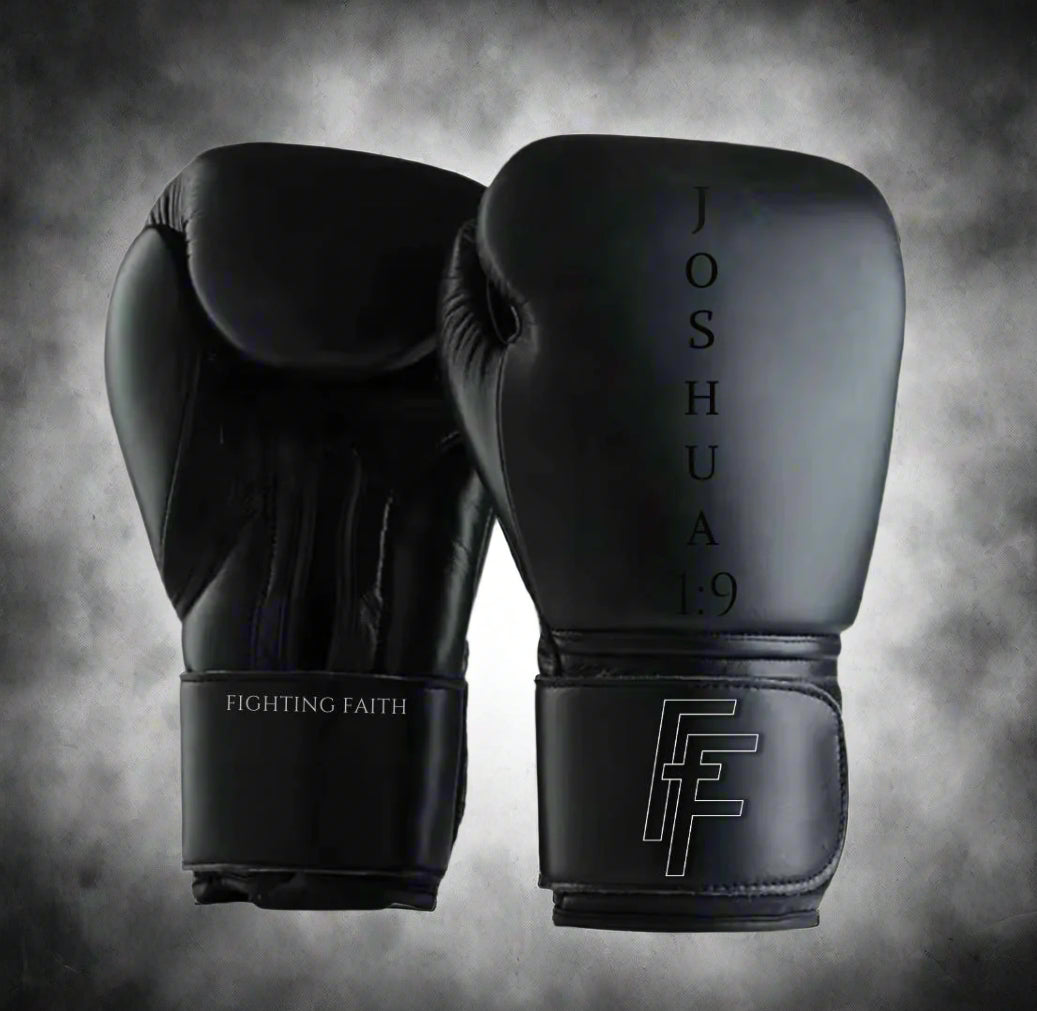 12oz Premium Boxing Gloves Joshua 1:9