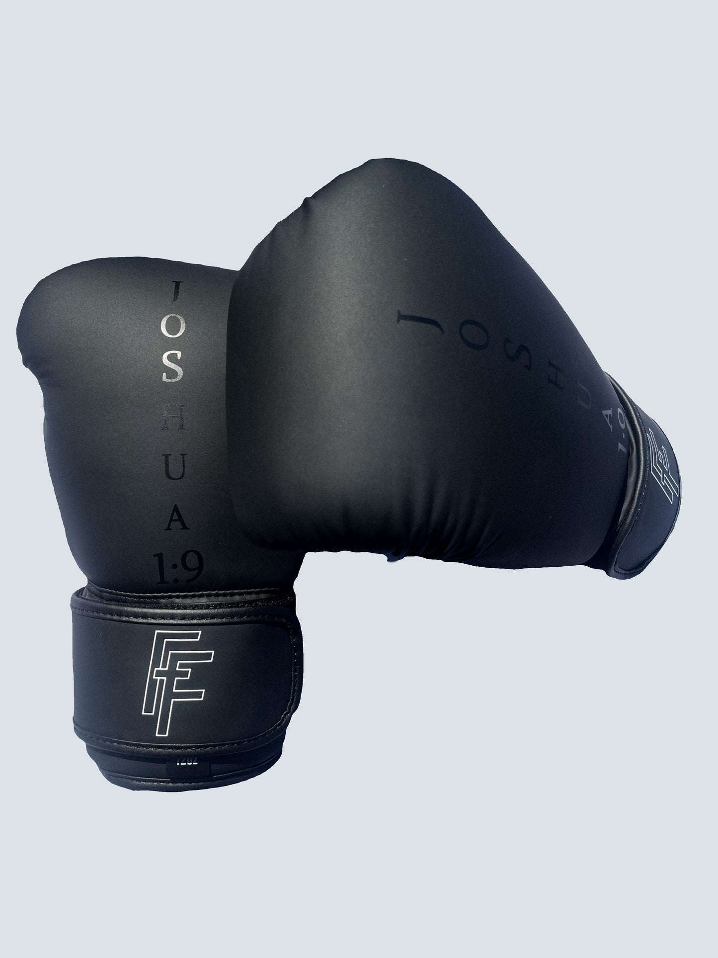 12oz Premium Boxing Gloves Joshua 1:9