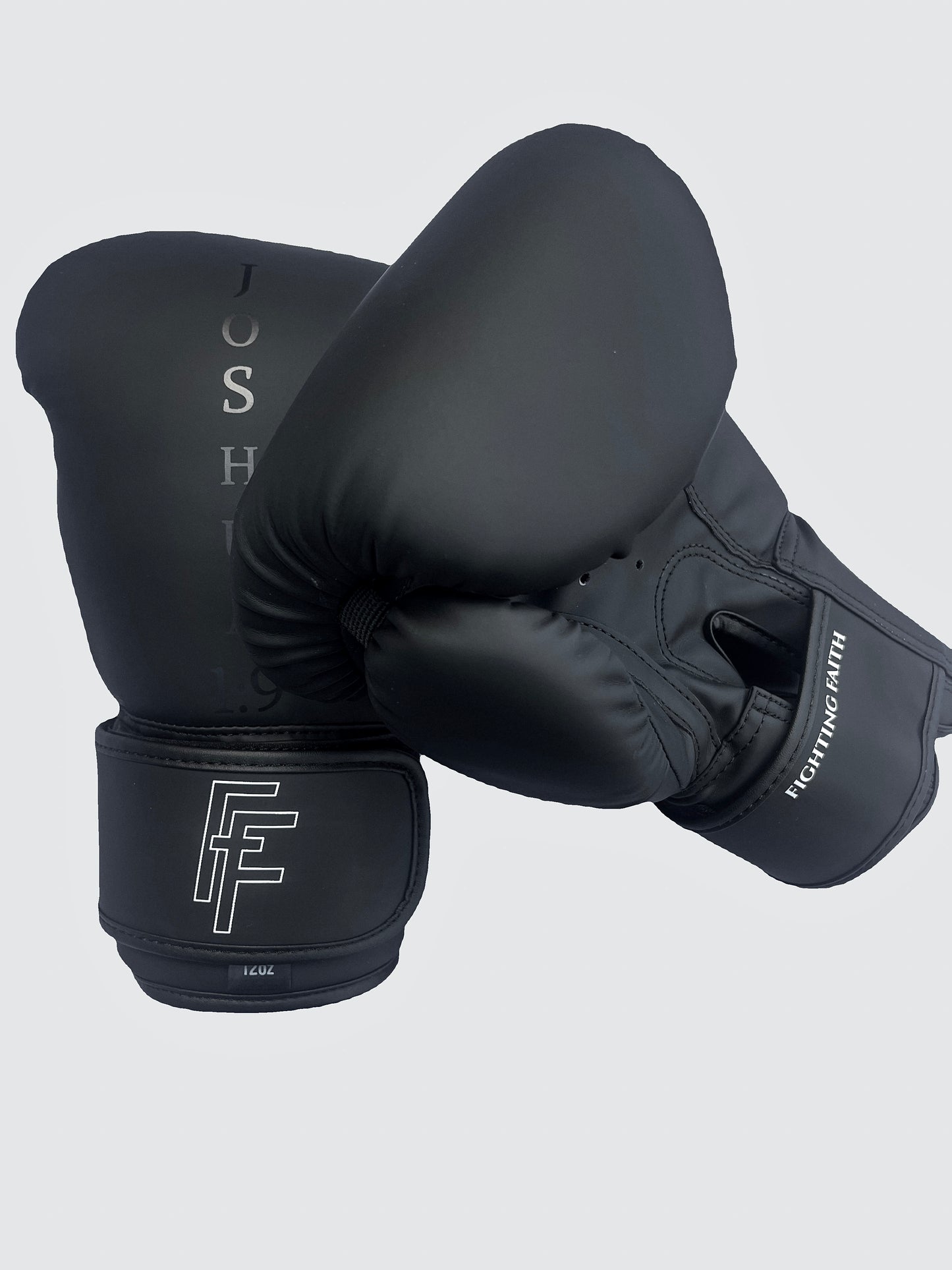 12oz Premium Boxing Gloves Joshua 1:9