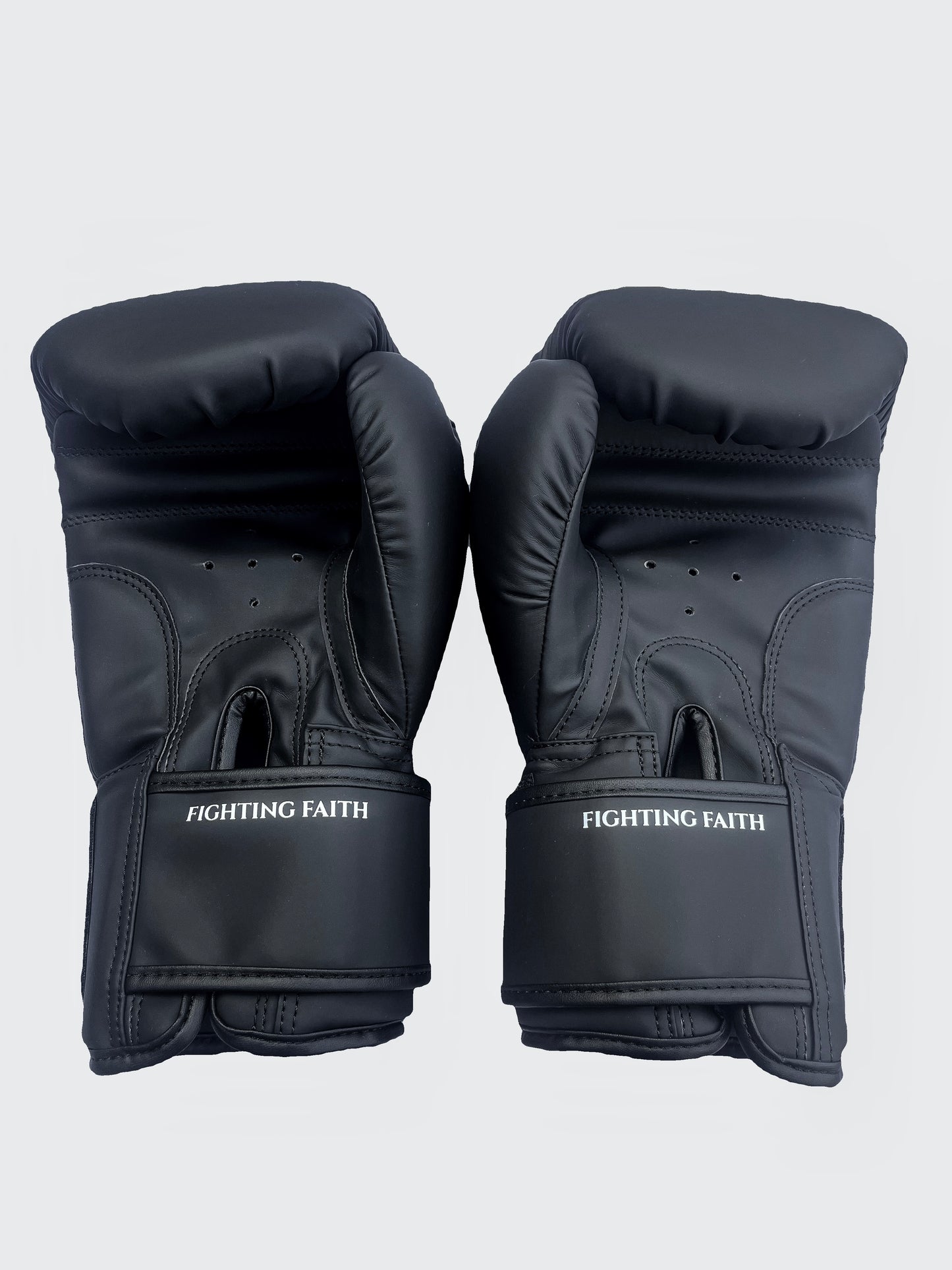 12oz Premium Boxing Gloves Joshua 1:9